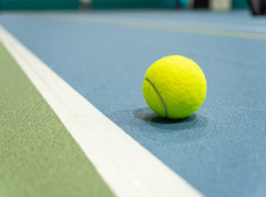 Ivanović i Conga pobedili Hingis i Lekonta na egzibiciji u Ženevi