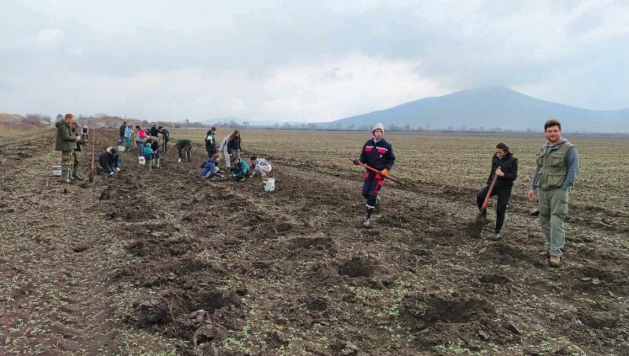 Uspešno pošumljavanje nizijskog dela Vršačkih planina