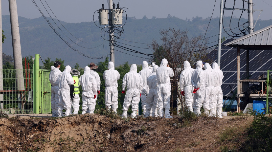 Uništene tone nebezbedne hrane zbog slinavke i šape