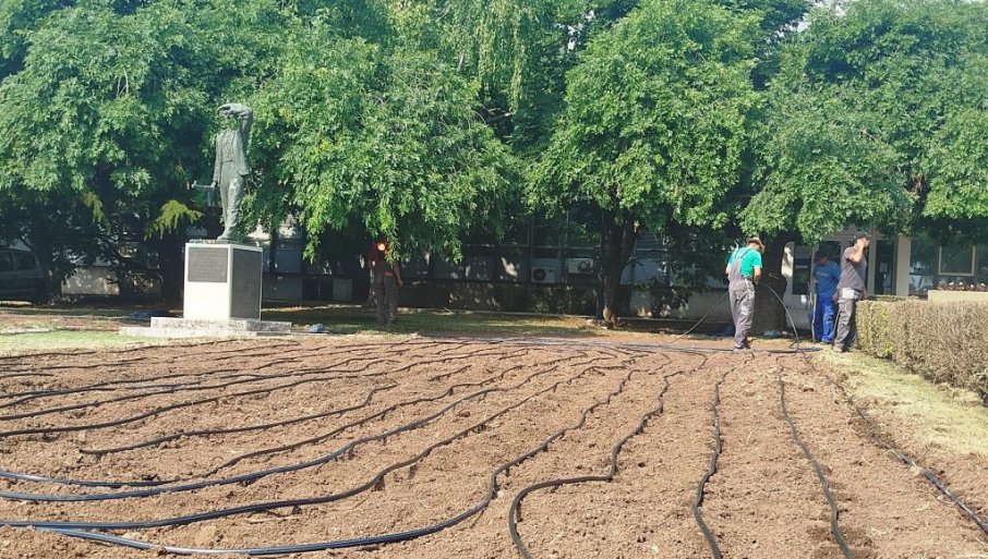 Zalivanje „kap po kap“ umesto rasprskivača (FOTO)