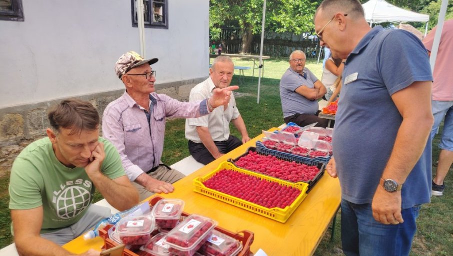 Skroman ovogodišnji rod “crvenog zlata” u valjevskom kraju