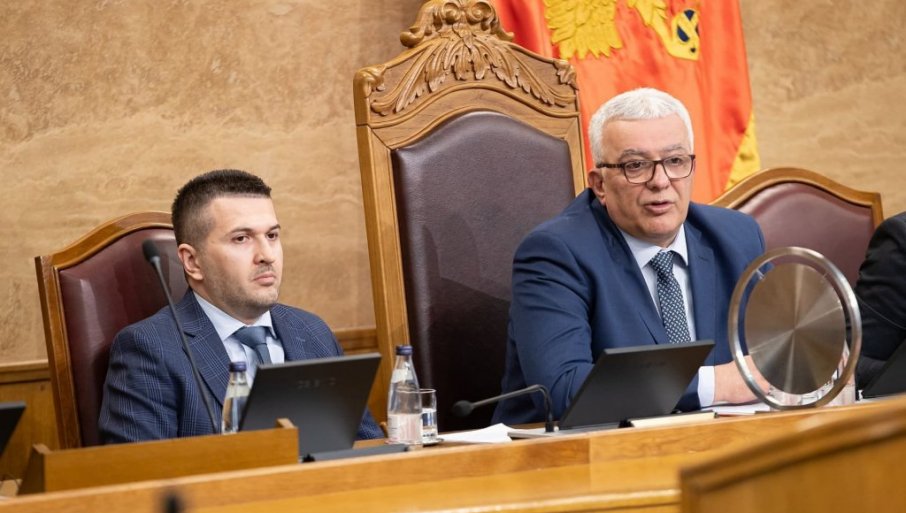 Na konferenciji u Parlamentu govorili o proširenju i budućnosti