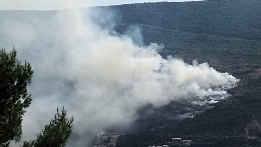 POZNAT IDENTITET MUŠKARCA KOJI JE IZAZVAO POŽAR U HERCEG NOVOM: Vatra išla ka kućama -stanovništvo preživelo agoniju (FOTO)