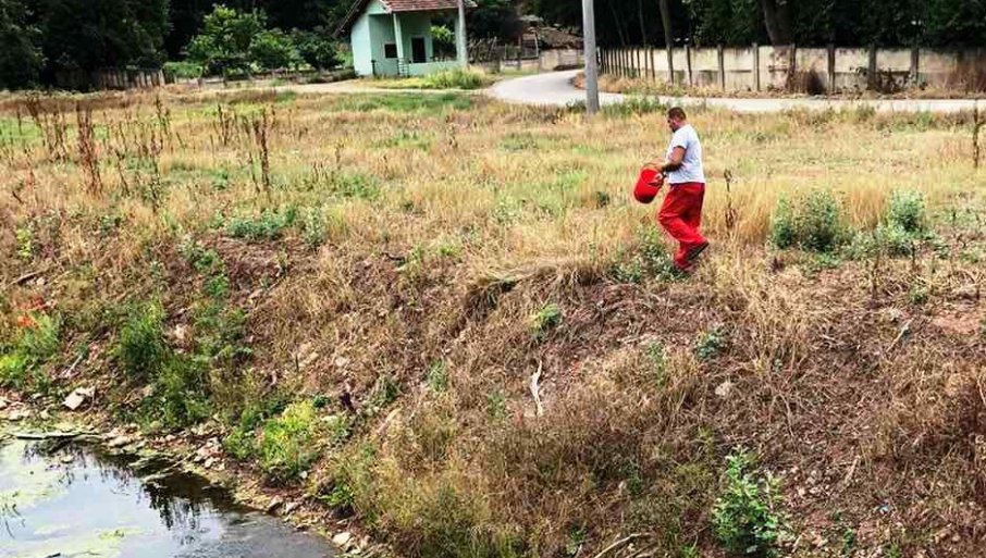 Upozorenje pčelarima da zatvore košnice