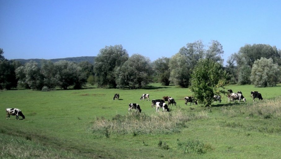 Za podsticje namenjeno 1,25 miliona dinara