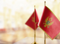 Crna Gora započela redovne godišnje konsultacije sa MMF-om