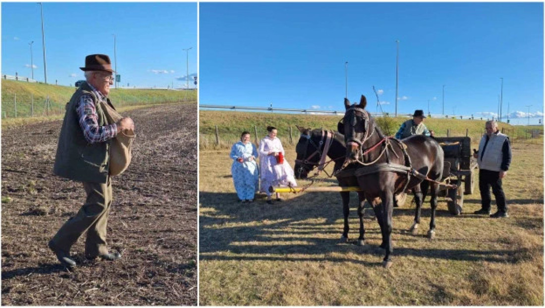 U Subotici oživeli konji i plug, vraća se čuveni bankutu