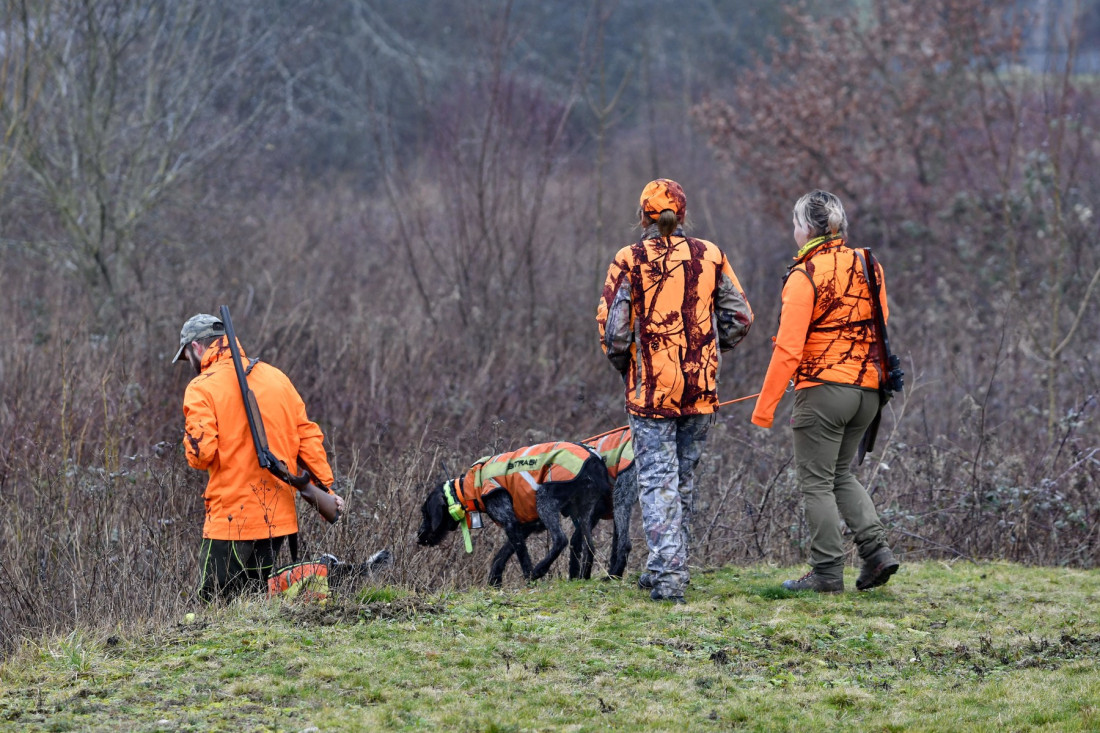 Lovci, imamo dobre vesti