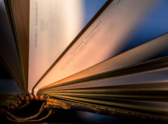 Booka objavila roman „Maks, Miša & ofanziva Tet“ norveškog autora Johana Harstada