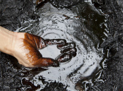 Cene nafte rekordno pale zbog manjeg neposrednog rizika od američkog napada na Iran