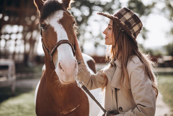 Konji mogu da namirišu strah kod ljudi