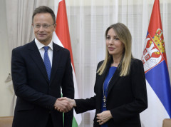 Dubravka Đedović Handanović danas će se sastati sa Peterom Sijartom