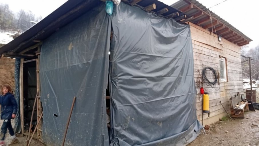 DEVETOČLANA PORODICA MILORADA I MARIJE BOJIĆ IZ JADRANSKE LEŠNICE ŽIVI U SAMO JEDNOJ PROSTORIJI OD DASAKA Kuća tesna, a srce