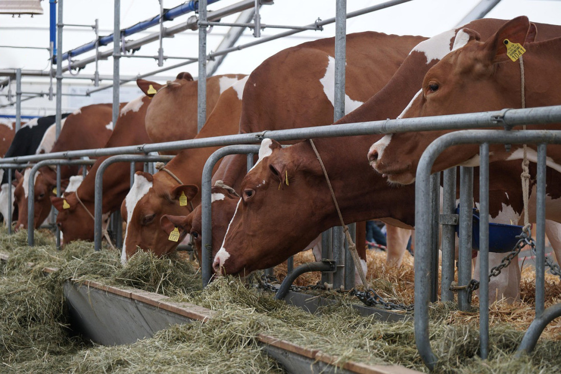 Otkup poljoprivrednih proizvoda i stoke