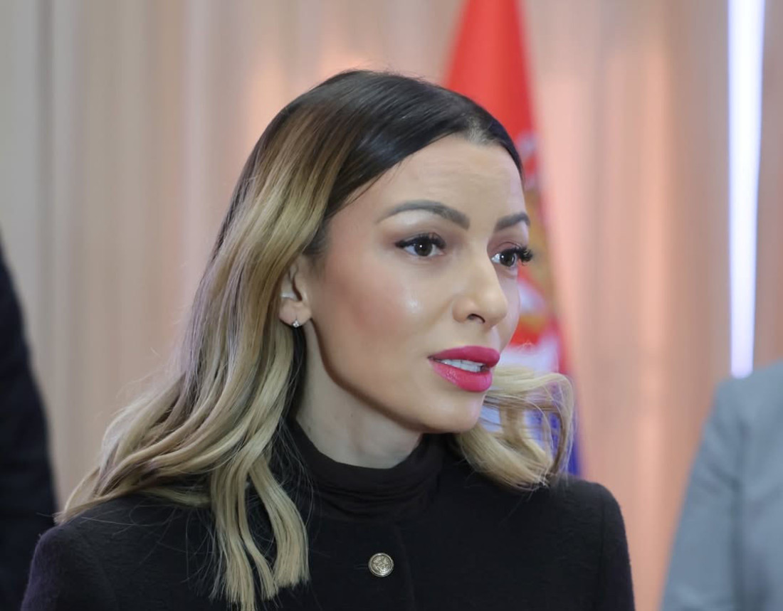 Mesarović o nestanku struje u Srbiji