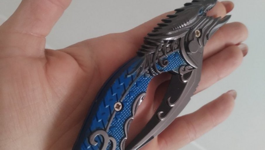 POLICIJU ZVALI ZBOG – IGRAČKE: Roditelji iz Vranja revoltirani reakcijom škole