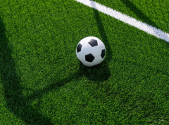 Fudbaleri Zvezde protiv Jedinstva u polufinalu, Vojvodina sa Grafičarom