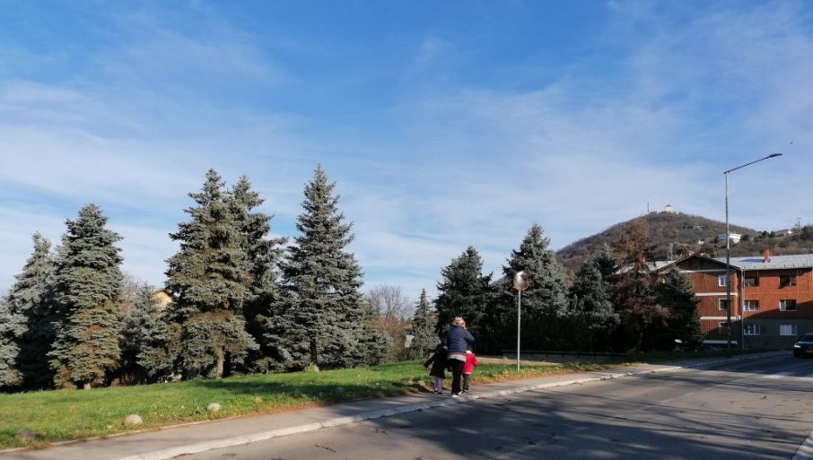 Nekada imao 88 stabala, koliko i predsednik Jugoslavije kada je umro (FOTO)
