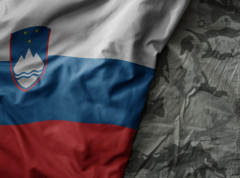 Spremnost slovenačkih oružanih snaga poboljšana 2025. godine