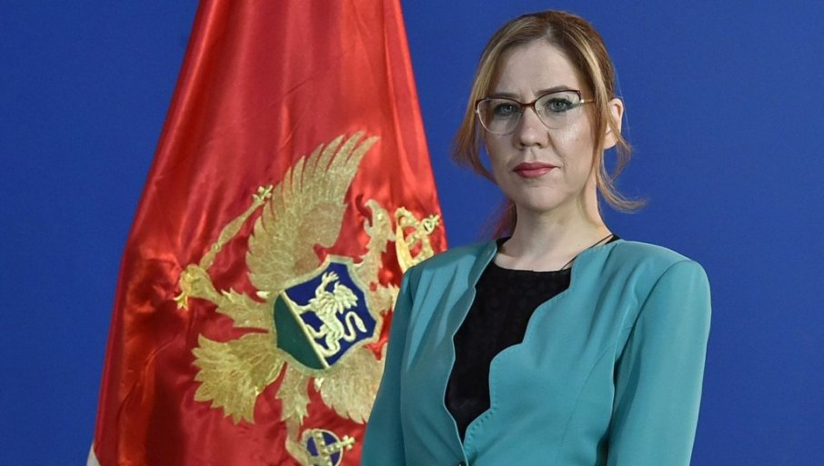 VESNI BRATIĆ UKINUT KUĆNI PRITVOR