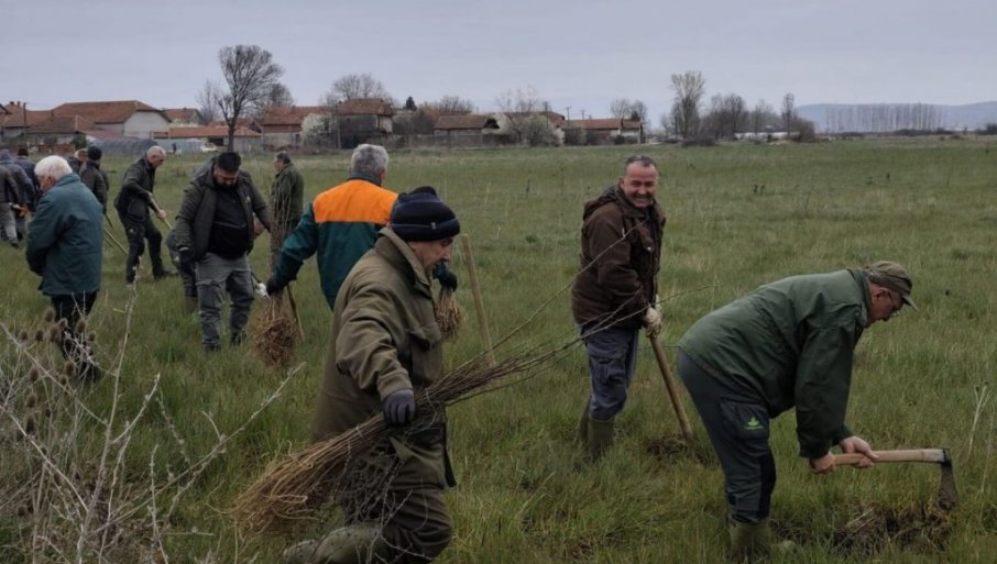 U Leskovcu obeležen Međunarodni dan šuma