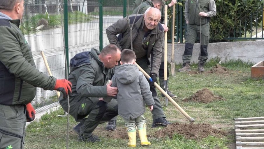 LOZNIČKI ŠUMARI DAROVALI SADNICE LIPA: Sadili sa mališanima