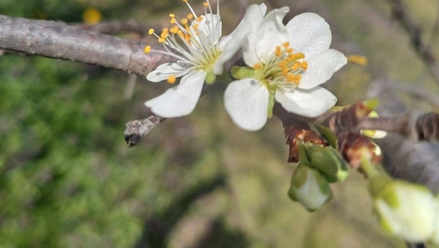 Evo koji rizik donosi najavljena obilna kiša