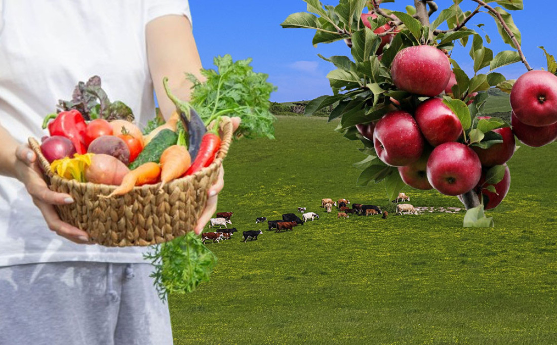 Ovaj grad u Vojvodini spreman za uzgoj organske hrane