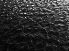 Uklonjeno preko 3.000 kubnih metara tla zagađenog izlivanjem nafte