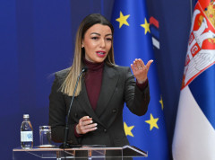 Ministarka Mesarović razgovarala sa rukovodstvom HBIS o mogućim investicijama njihovih kooperanata u Srbiju