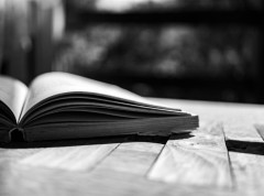 Književna nagrada „Slaviša Nikolin Živković“ pripala Mladenu Šljivoviću