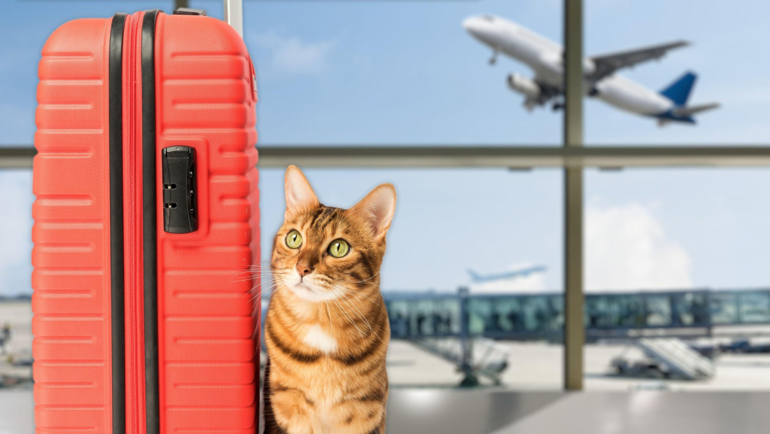 Nova pravila za ulazak kućnih ljubimaca u EU