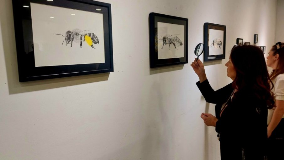 Izložba slika likovne umetnice Sanje Đurić u Zrenjaninu (FOTO)