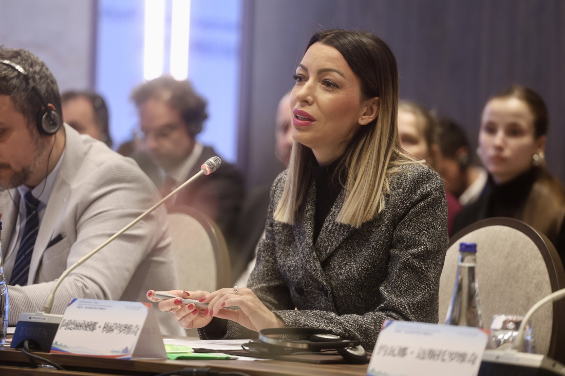 Mesarović odgovorila Mariniki Tepić na optužbe