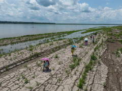 Naučnici upozorili na pogoršanje posledica klimatskih promena tokom predstojećeg leta