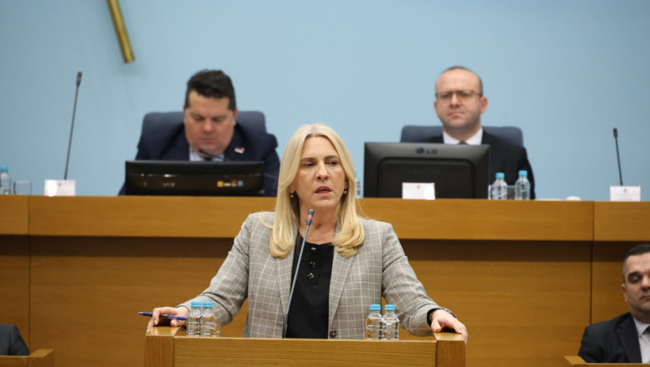 Cvijanović o EU i nasledstvu Šmita u BiH