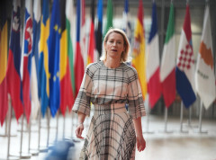 Trampova administracija ne želi jaku Evropsku uniju