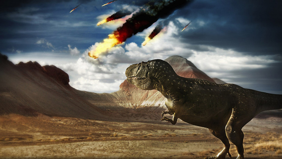 Kako su životinje preživele udar koji je zbrisao dinosauruse