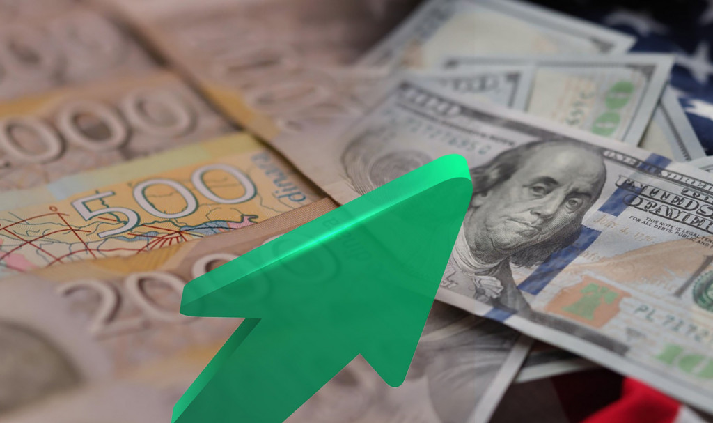 Bruto devizne rezerve NBS na kraju maja 29,9 milijardi evra