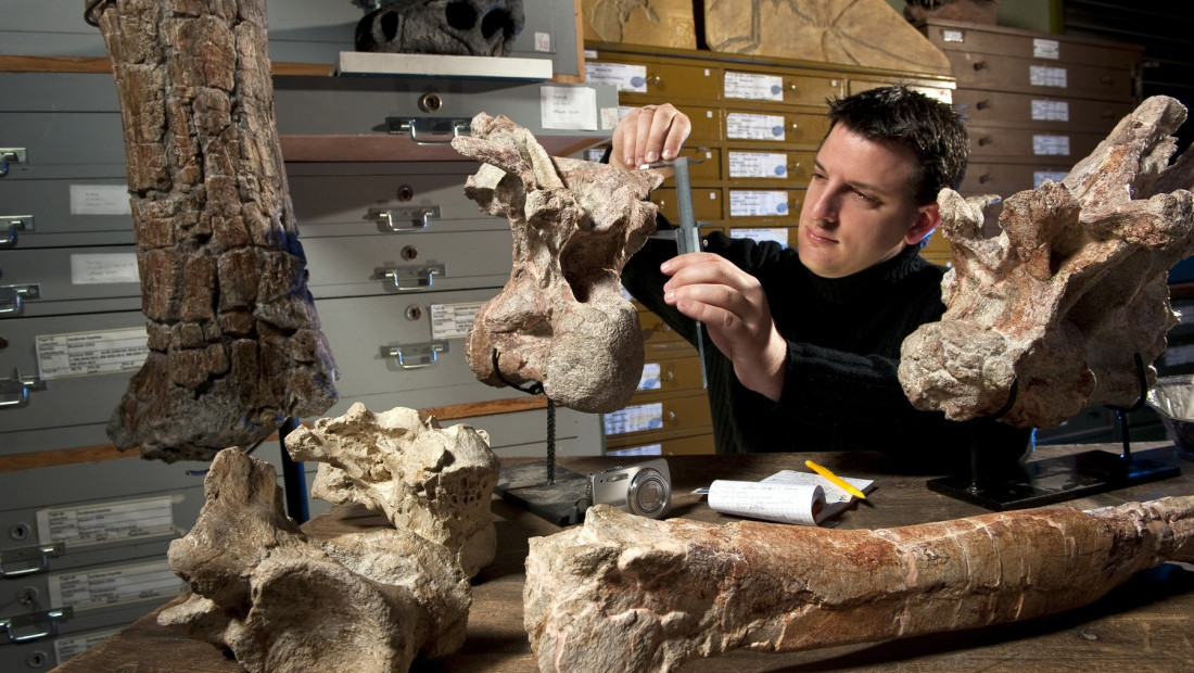 Kost dinosaurusa sa Antarktika pronađena u fioci