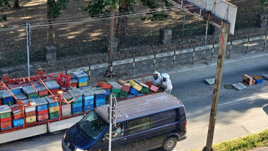 Košnice ispale iz kamiona, pčele ugrozile građane