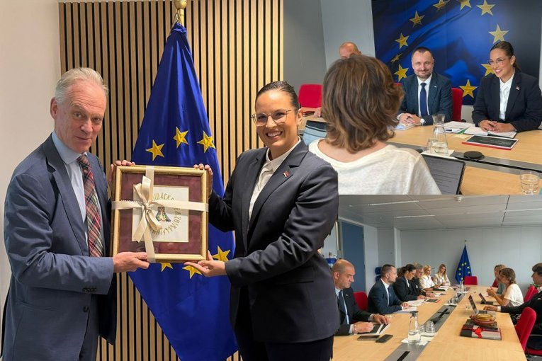 Srbija snažno posvećena zelenoj tranziciji, do 2030. godine novi standardi u oblasti zaštite životne sredine