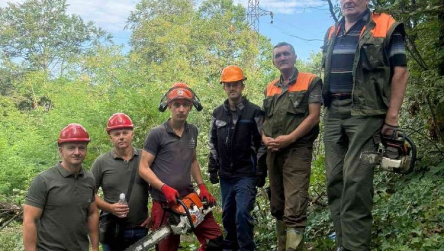Počelo uređenje zaštitnih pojaseva dalekovoda