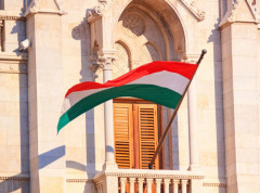 Mađar i stranka Tisa danas nominuju kandidata za predsednika zemlje