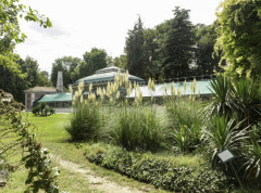 Del Arno bend 19. septembra obeležava 40 godina rada koncertom u Botaničkoj bašti