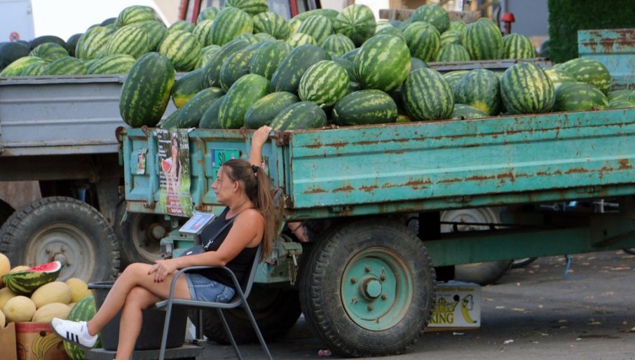 Pomama za lubenicama, evo kako da kupite slatku i zrelu