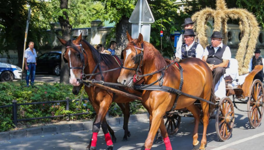 U Subotici počinje četvorodnevna proslava „Dužijance“