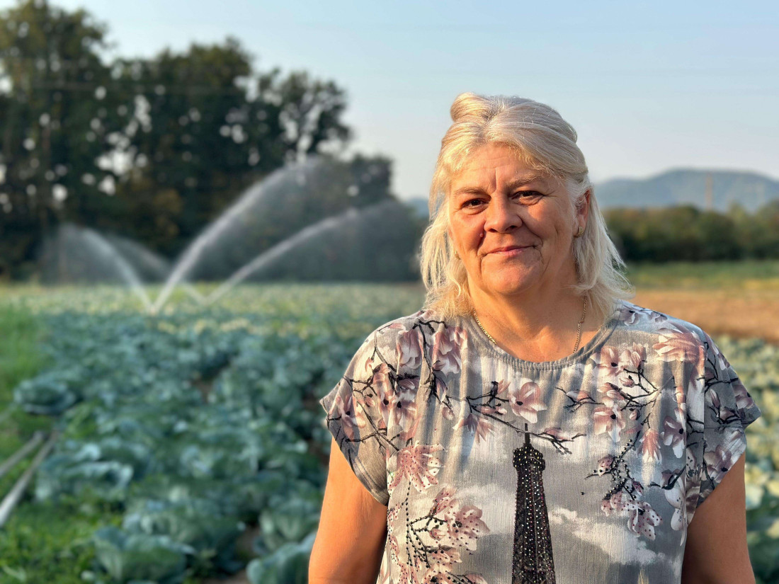 Dana i njena porodica na preko tri hektara uzgajaju povrće